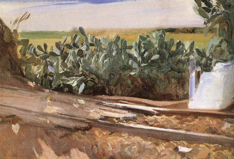 Roadside grass, Joaquin Sorolla